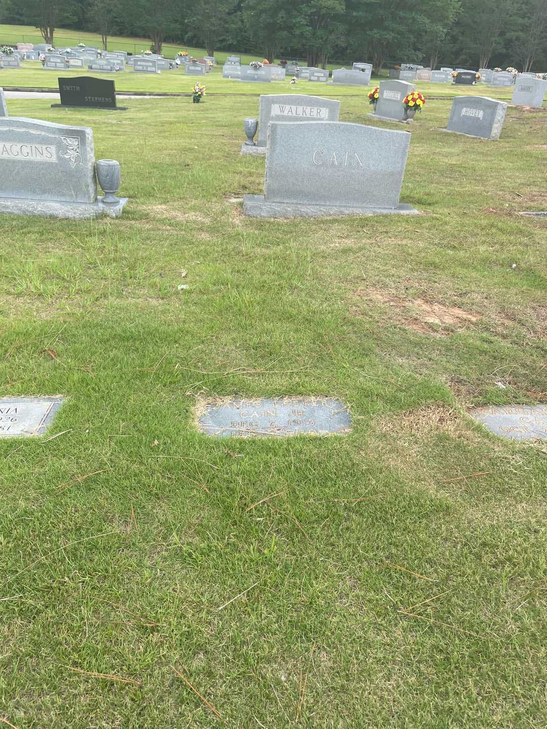 James Lester Cain Junior's grave. Photo 2