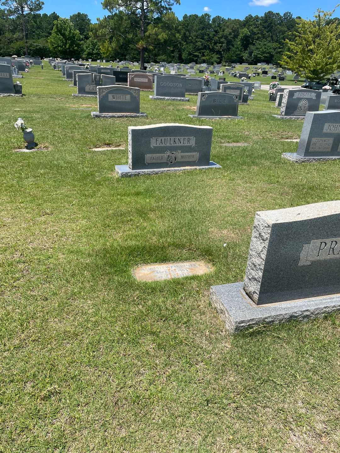 Lewis Wesley Faulkner's grave. Photo 2