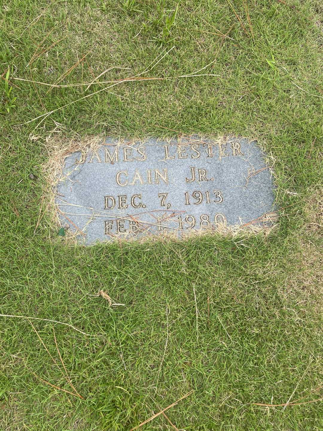 James Lester Cain Junior's grave. Photo 3