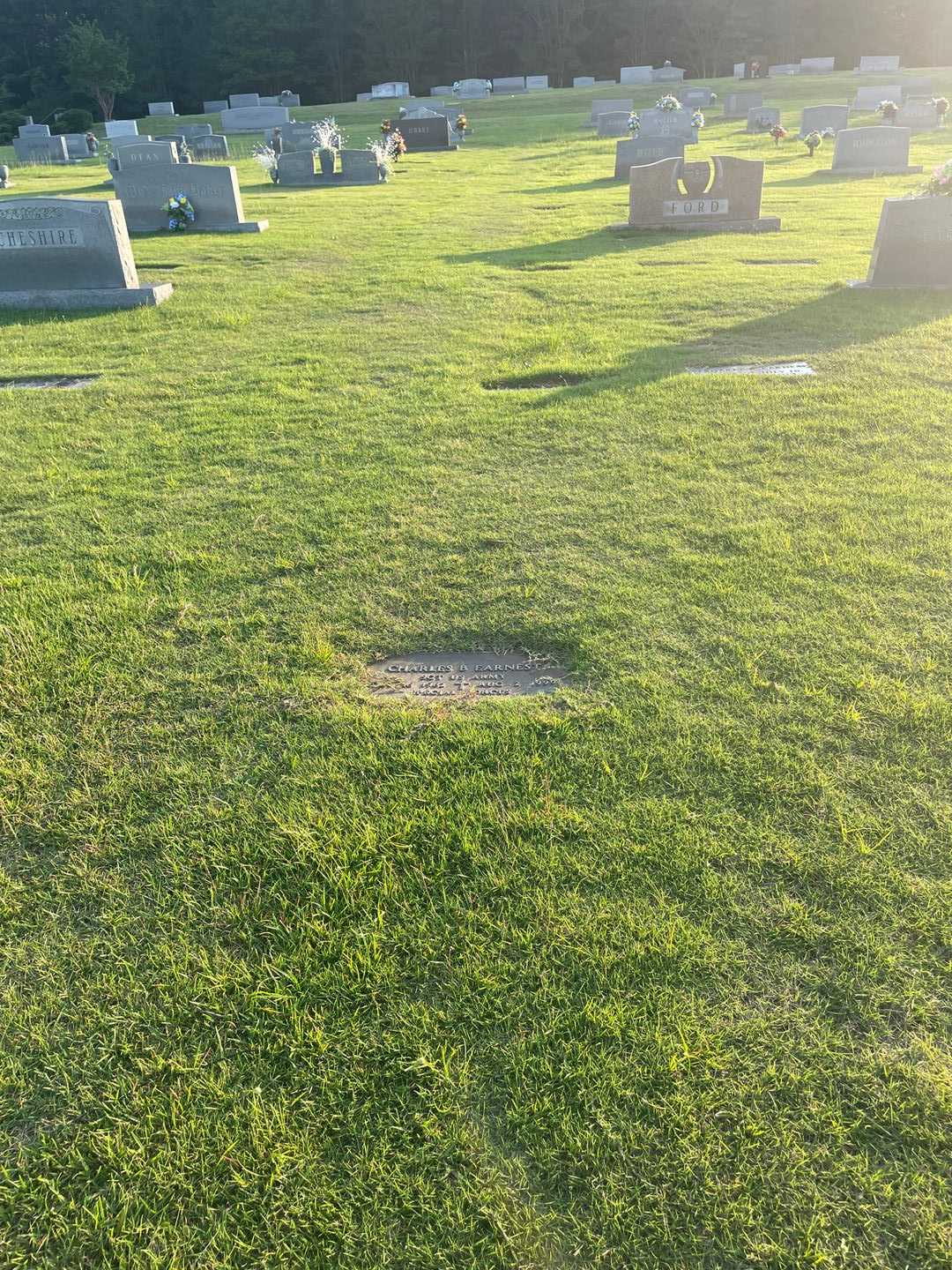 Charles B. Earnest's grave. Photo 2