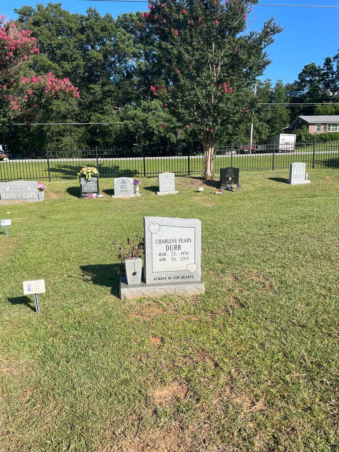 Charlene Fears Durr's grave. Photo 2