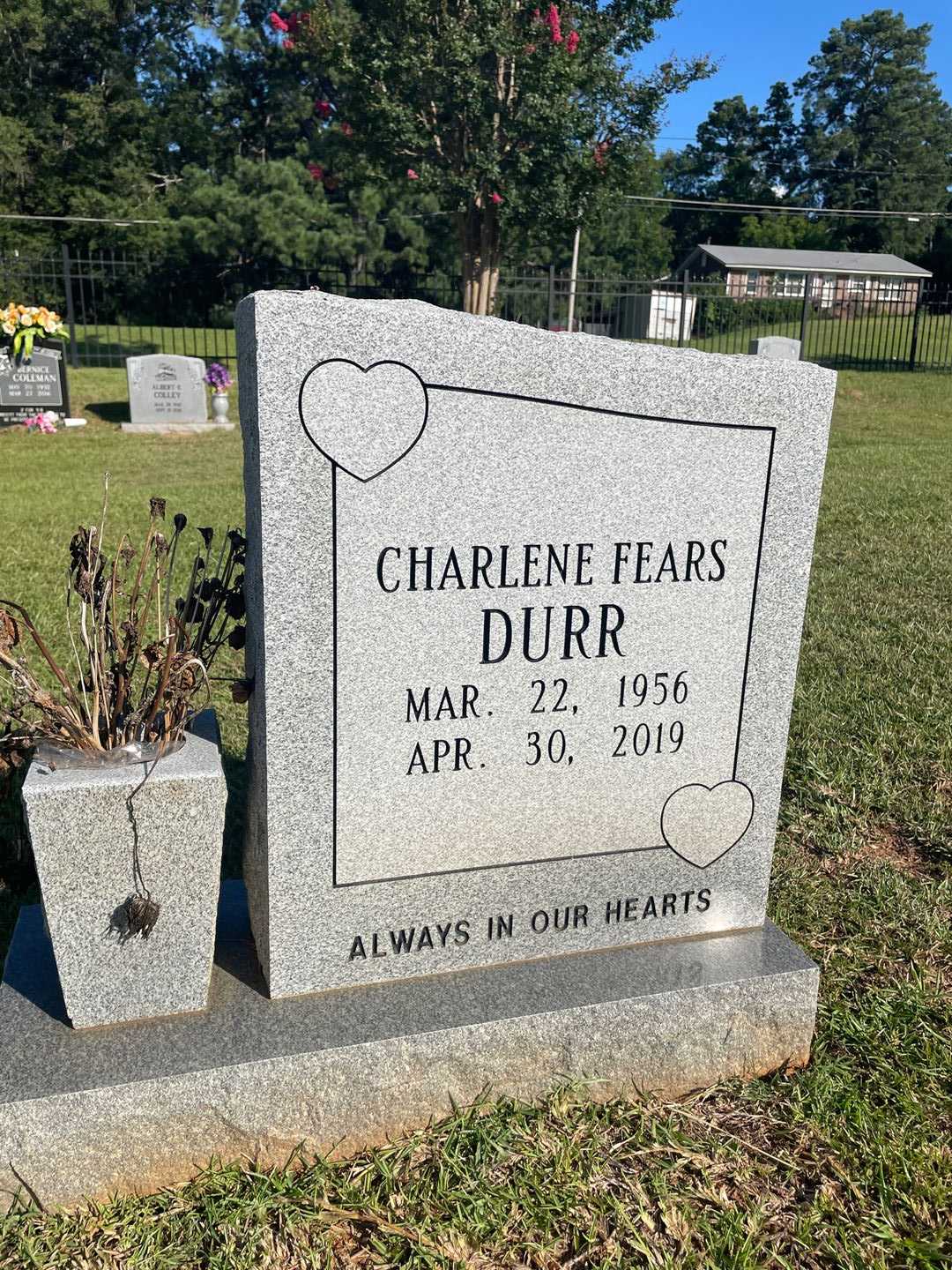 Charlene Fears Durr's grave. Photo 1