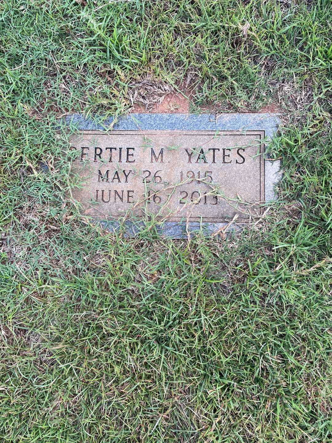 Bertie M. Yates's grave. Photo 3