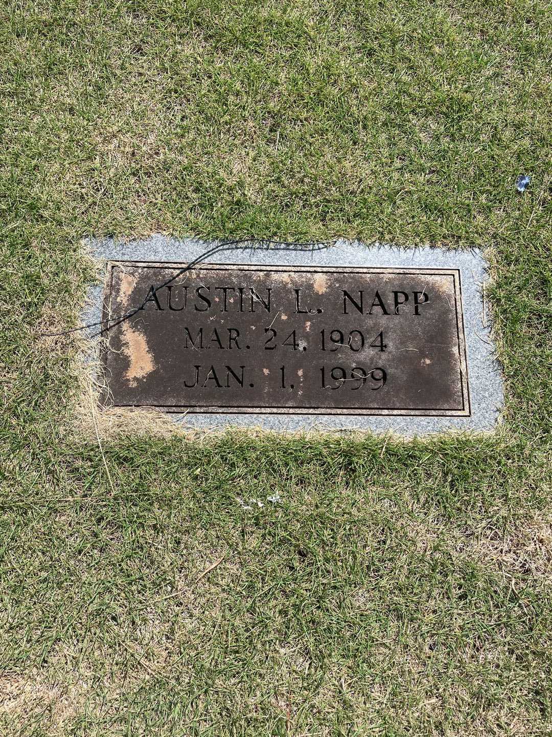 Austin L. Napp's grave. Photo 3