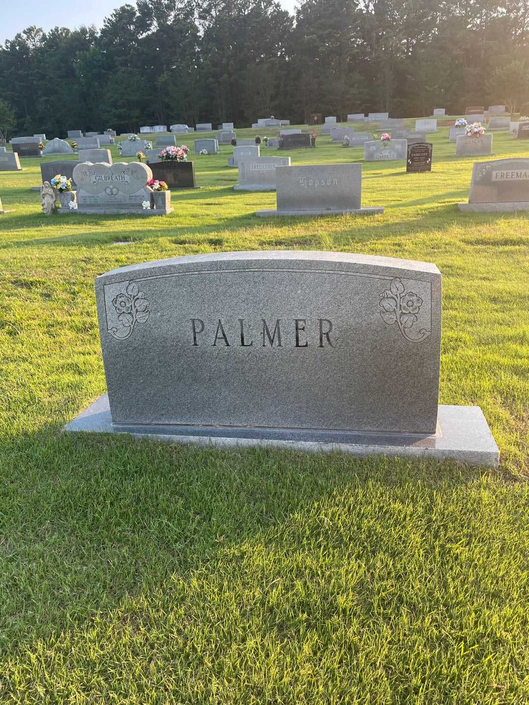 Horrice Edward Palmer's grave. Photo 1