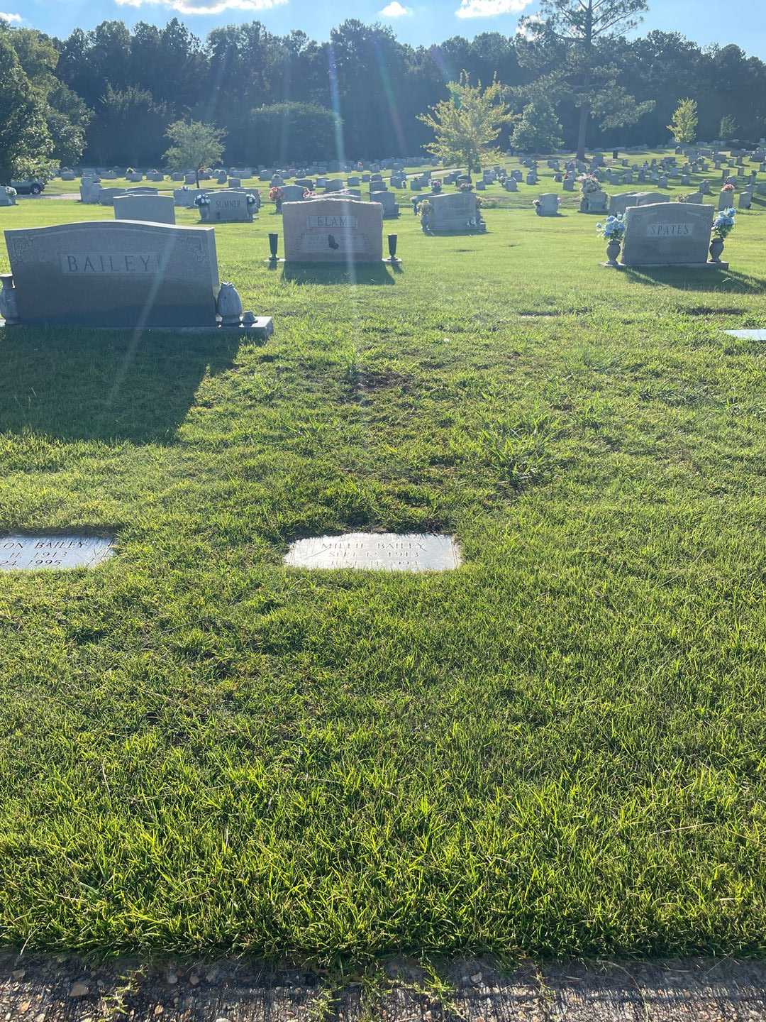 Millie N. Bailey's grave. Photo 2