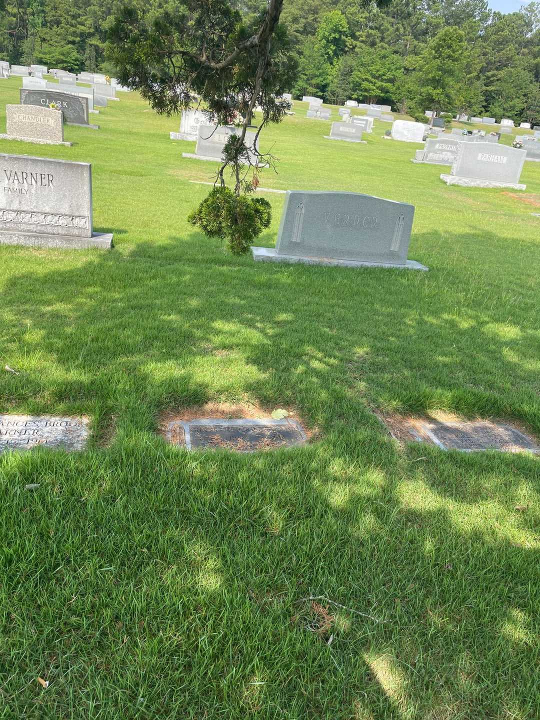 James Frederick Varner's grave. Photo 2