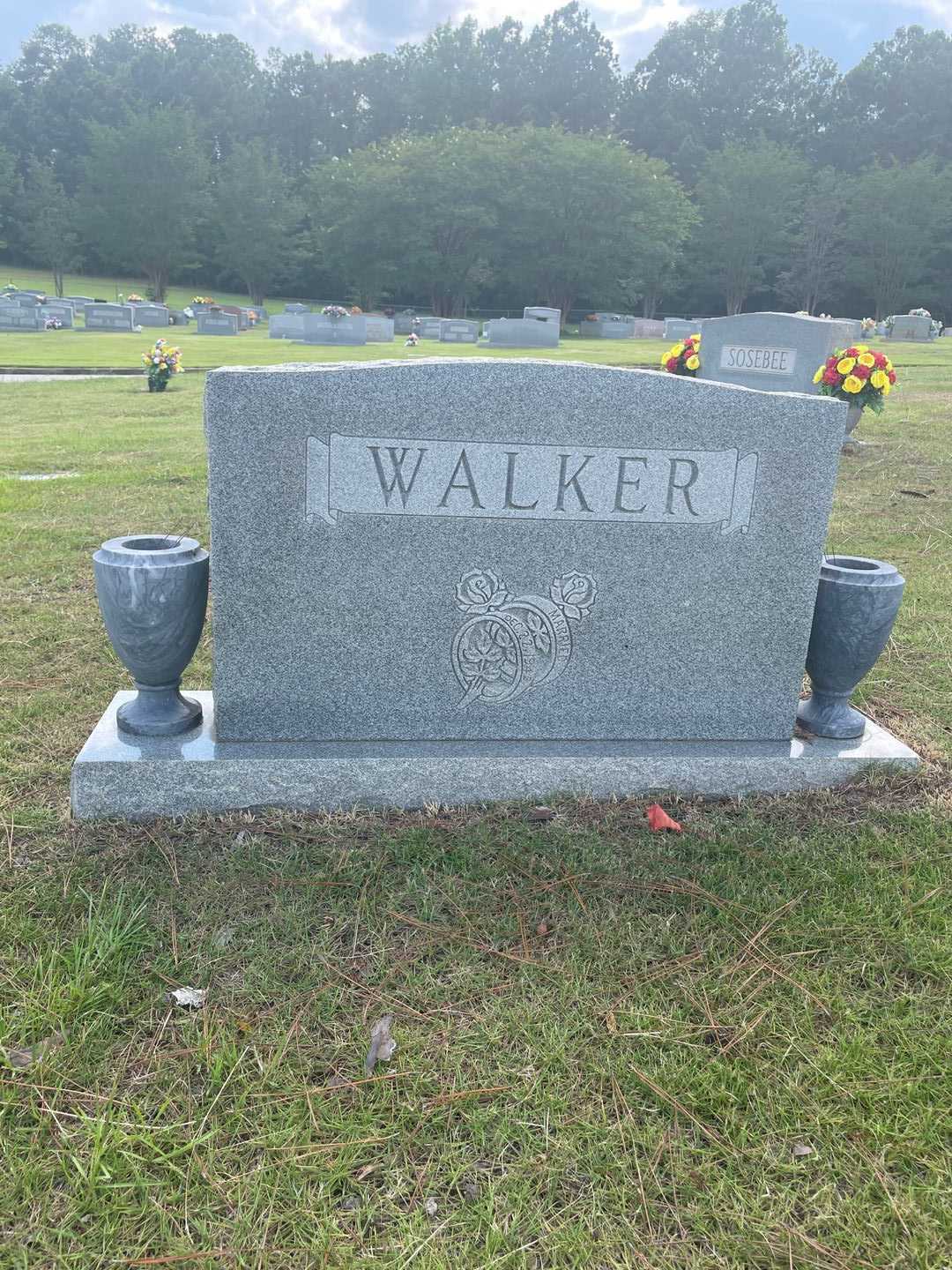 Birdle T. Walker's grave. Photo 1