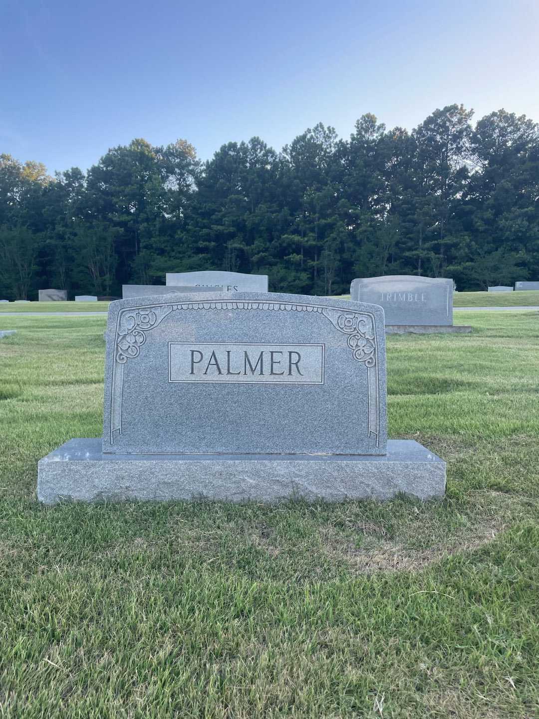 James Michael Palmer's grave. Photo 1