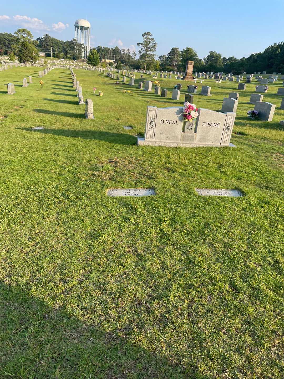 Harold H. O'Neal's grave. Photo 2