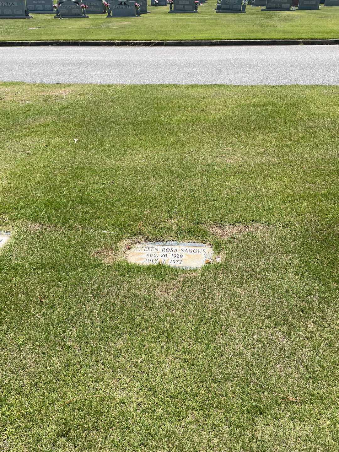 Kathleen Rosa Saggus's grave. Photo 2