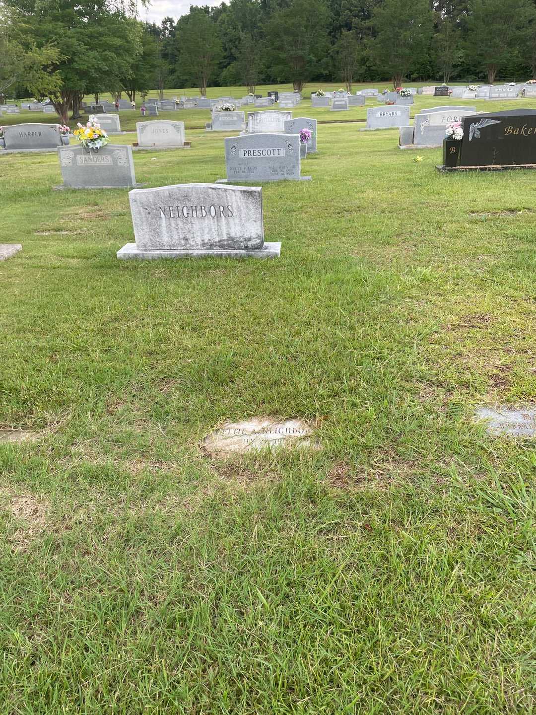 Dettie A. Neighbors's grave. Photo 2