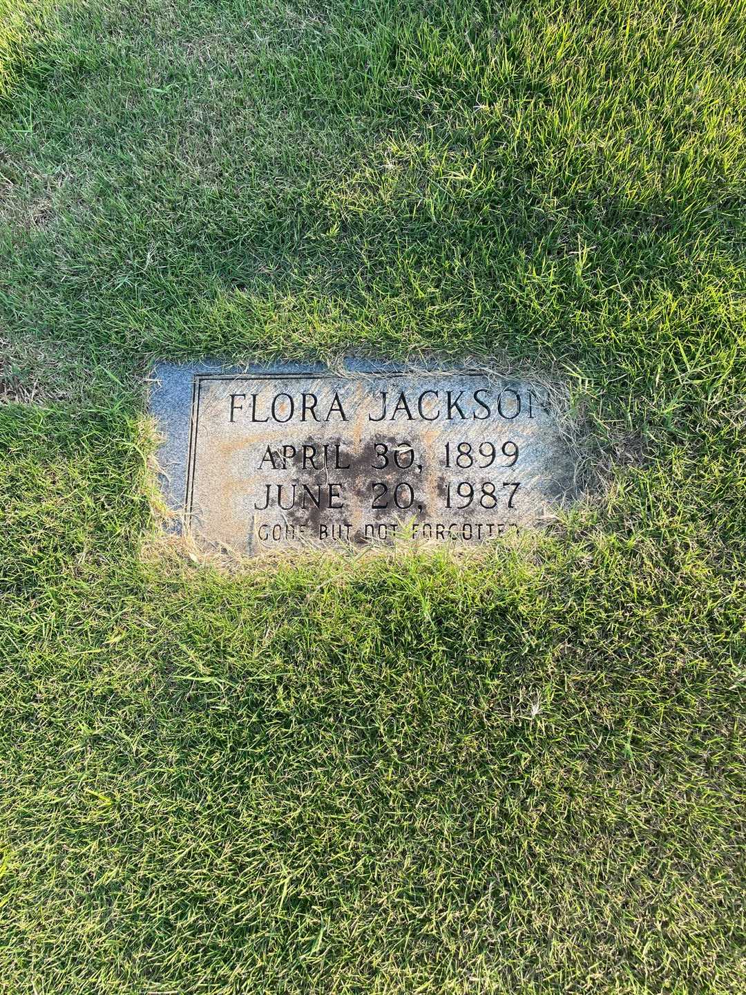 Flora Jackson's grave. Photo 3