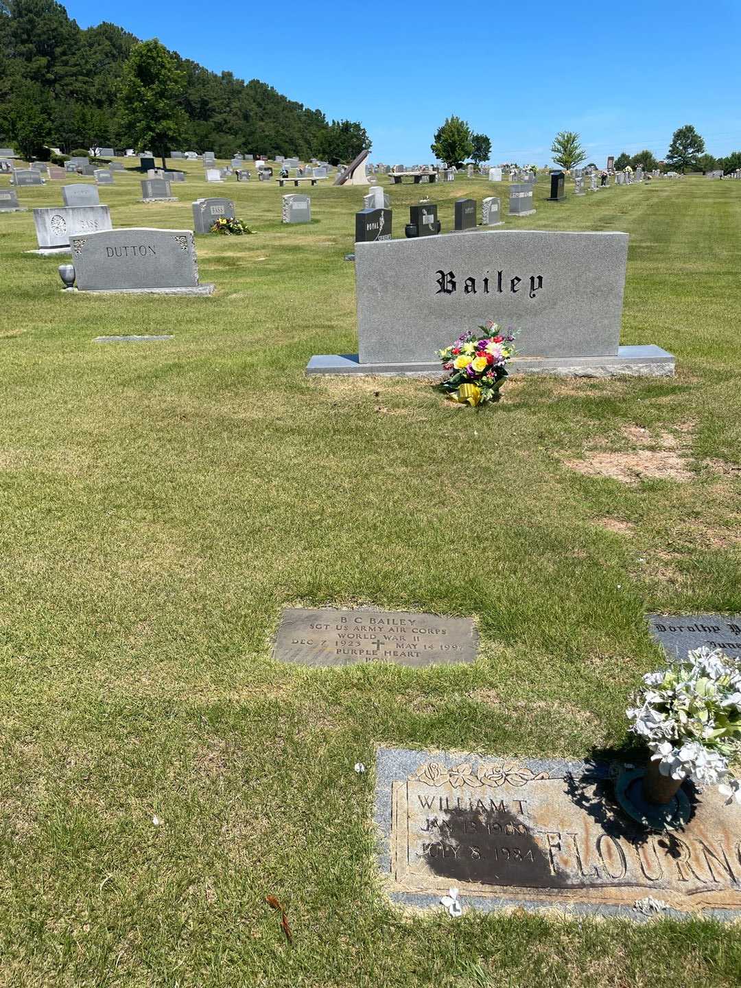 B. C. Bailey's grave. Photo 2