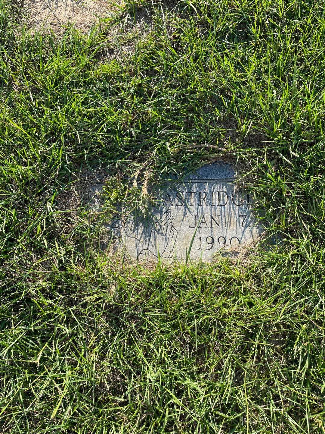 Ilene C. Eastridge's grave. Photo 3