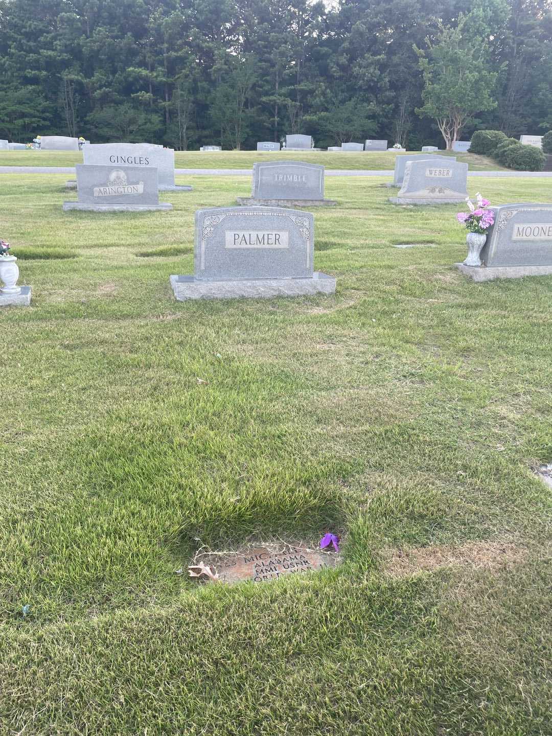 James Michael Palmer's grave. Photo 2