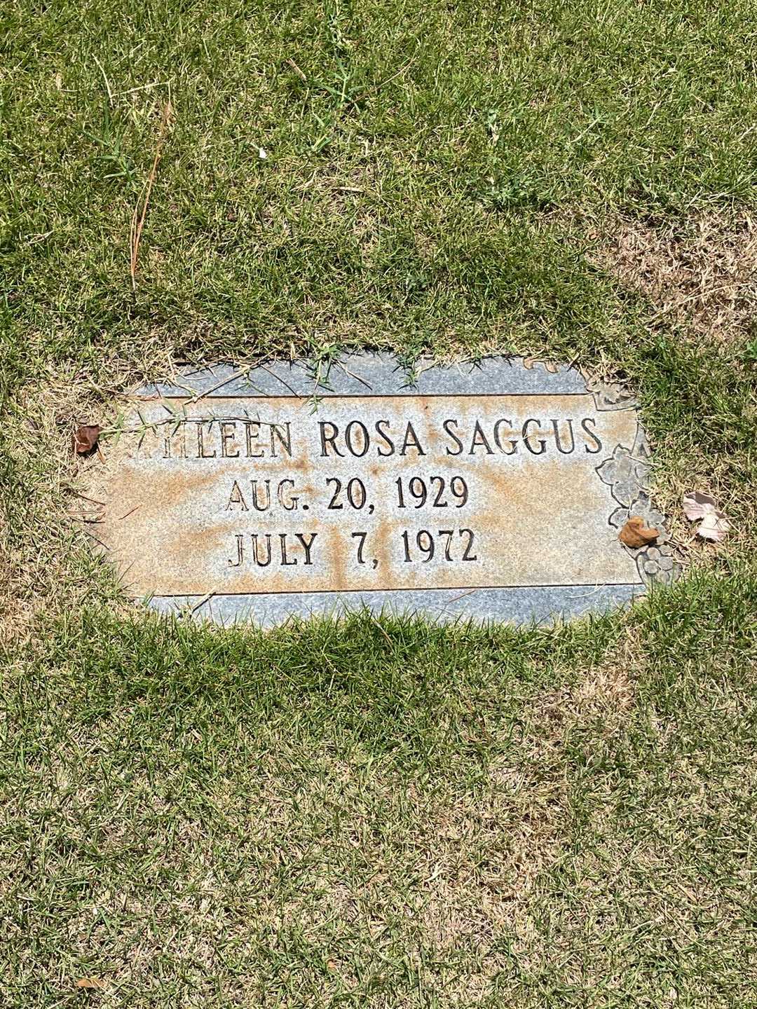 Kathleen Rosa Saggus's grave. Photo 1