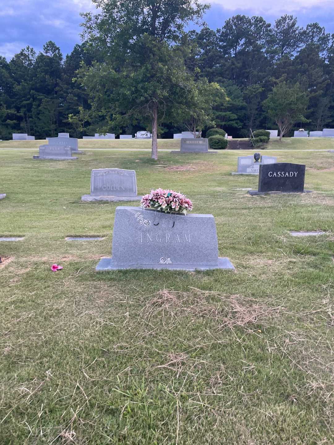 Joseph Robert Ingram's grave. Photo 1