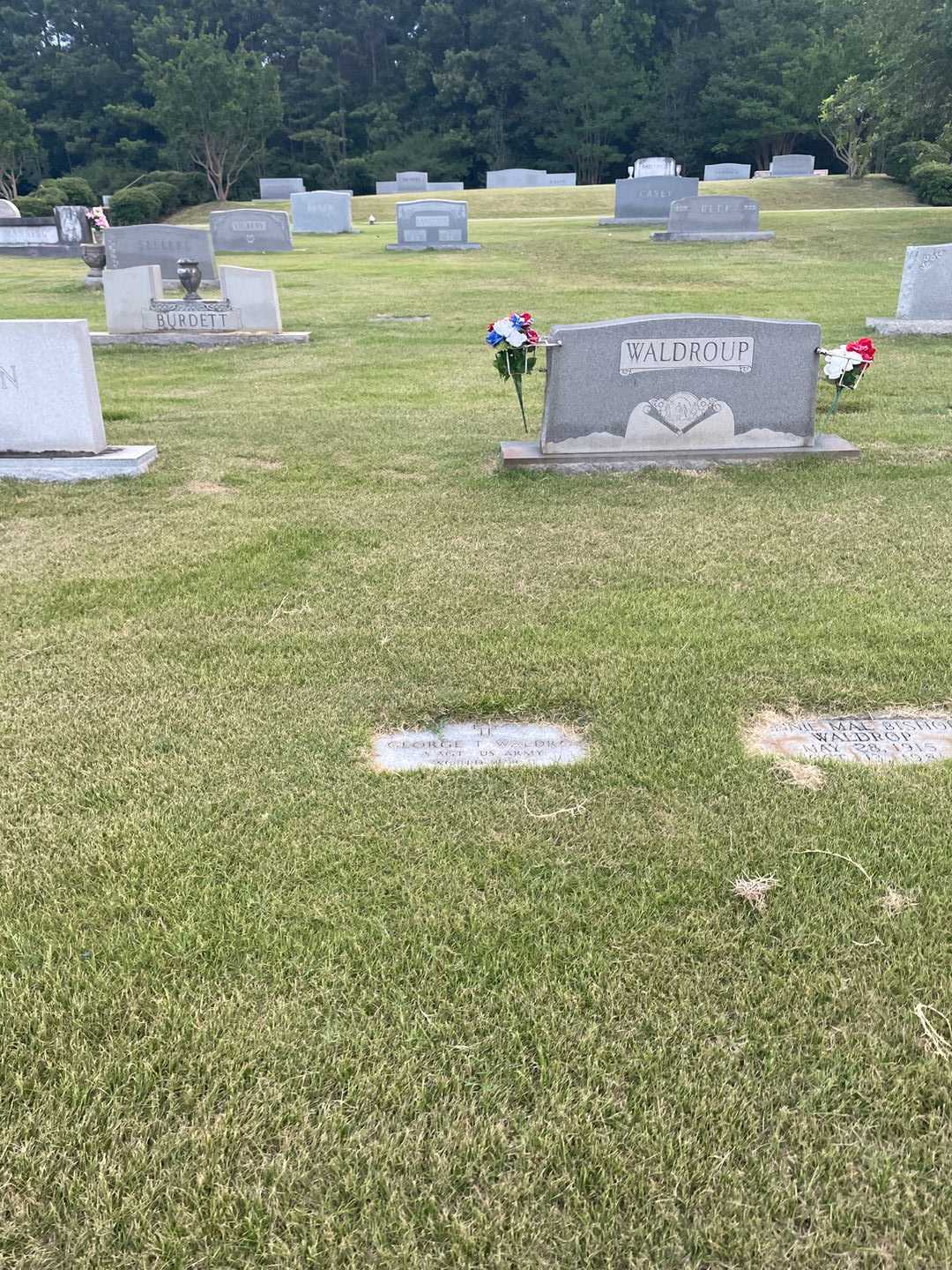 George T. Waldrop's grave. Photo 2