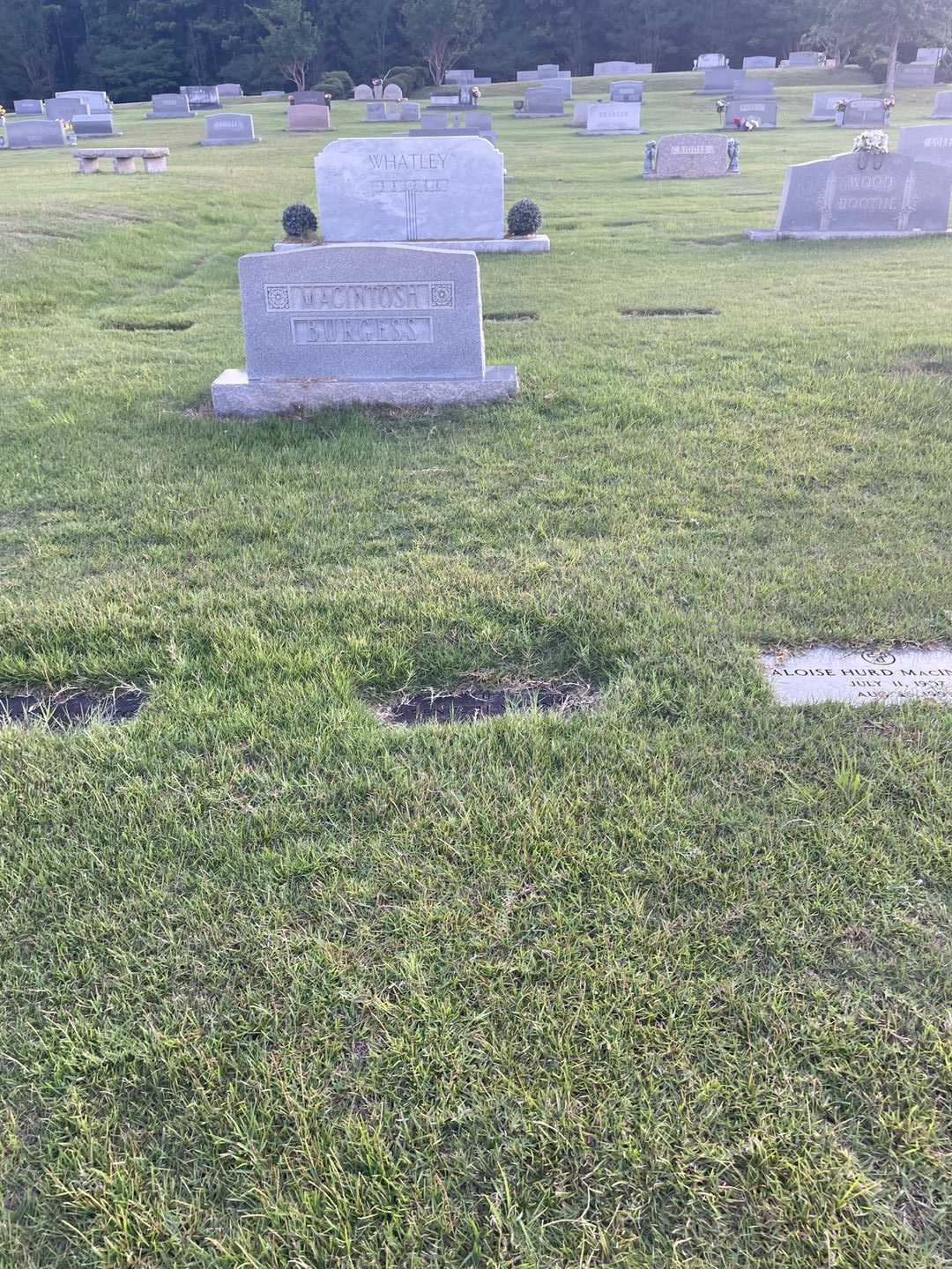 Lawrence H. MacIntosh's grave. Photo 2