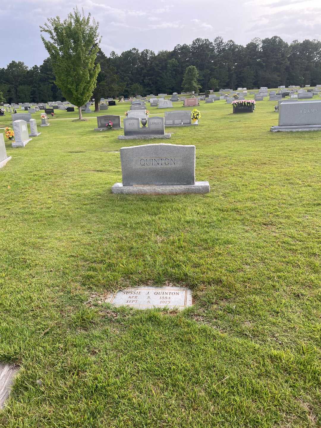 Sussie J. Quinton's grave. Photo 2