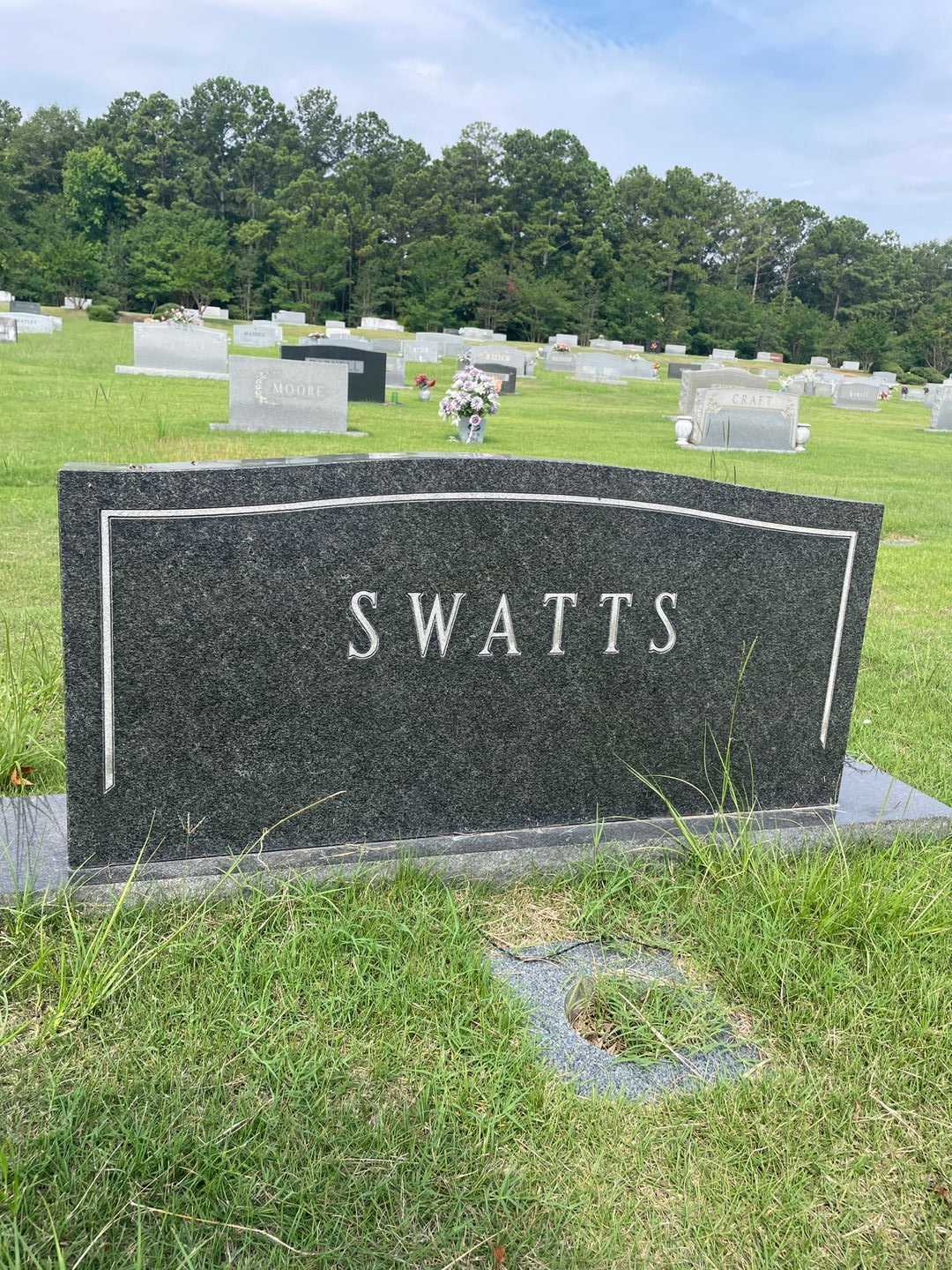 Mary Ann Eckert Swatts's grave. Photo 1