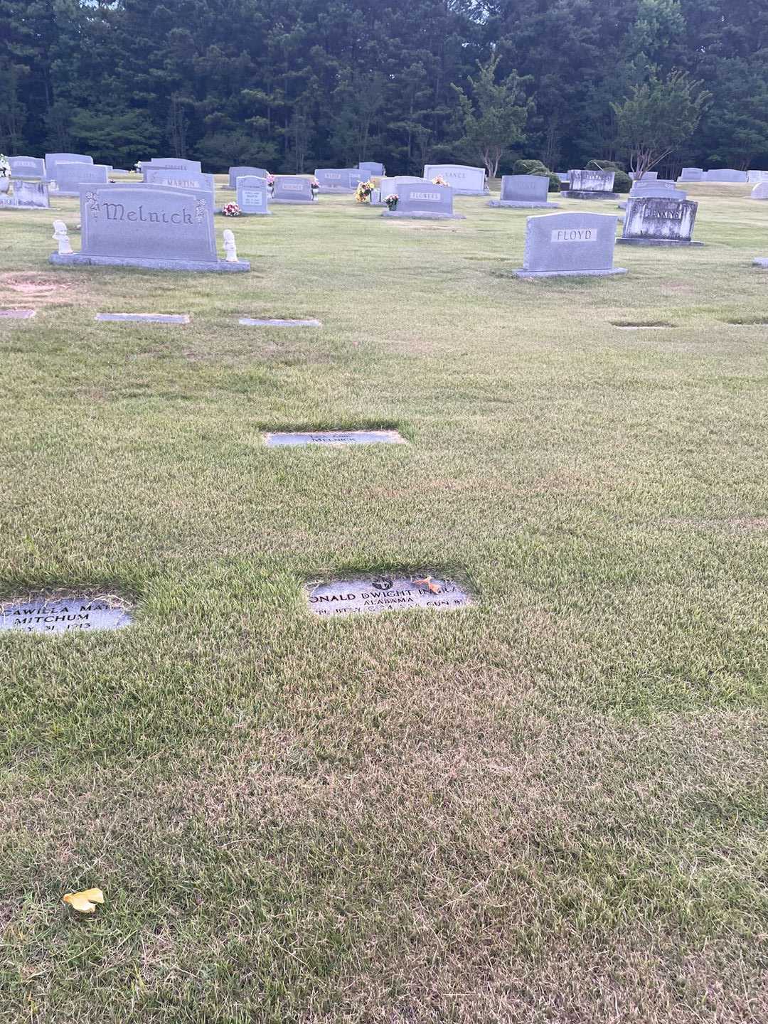 Donald Dwight Ingram's grave. Photo 2