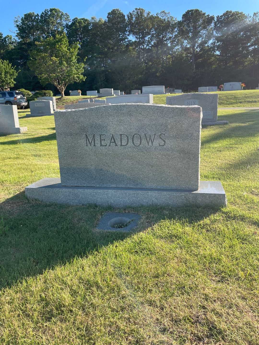 Jean R. Rainer Meadows's grave. Photo 1