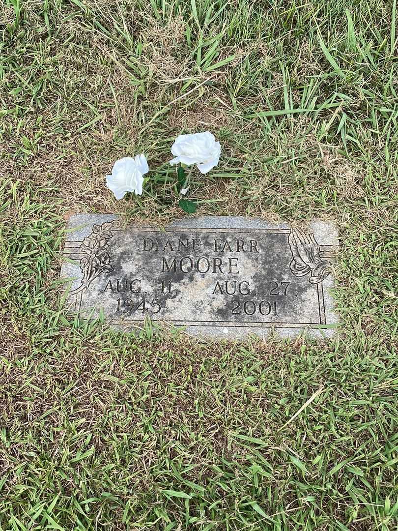 Diane F. Farr Moore's grave. Photo 1