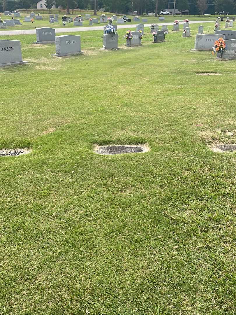 Henry Lee Gann Junior's grave. Photo 2