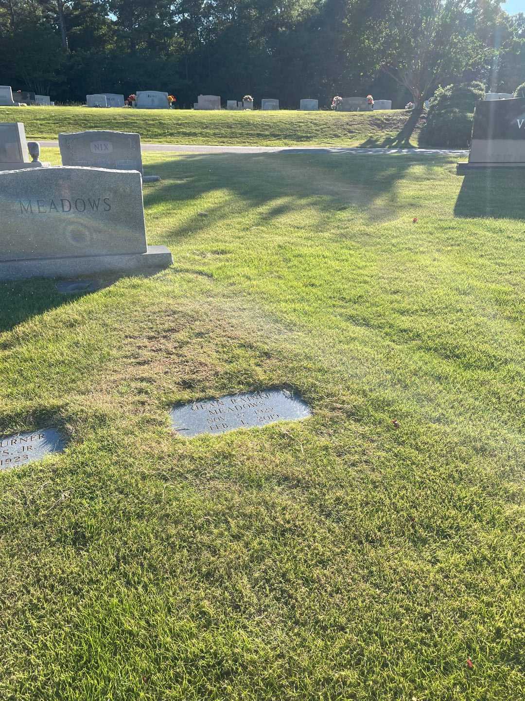 Jean R. Rainer Meadows's grave. Photo 2