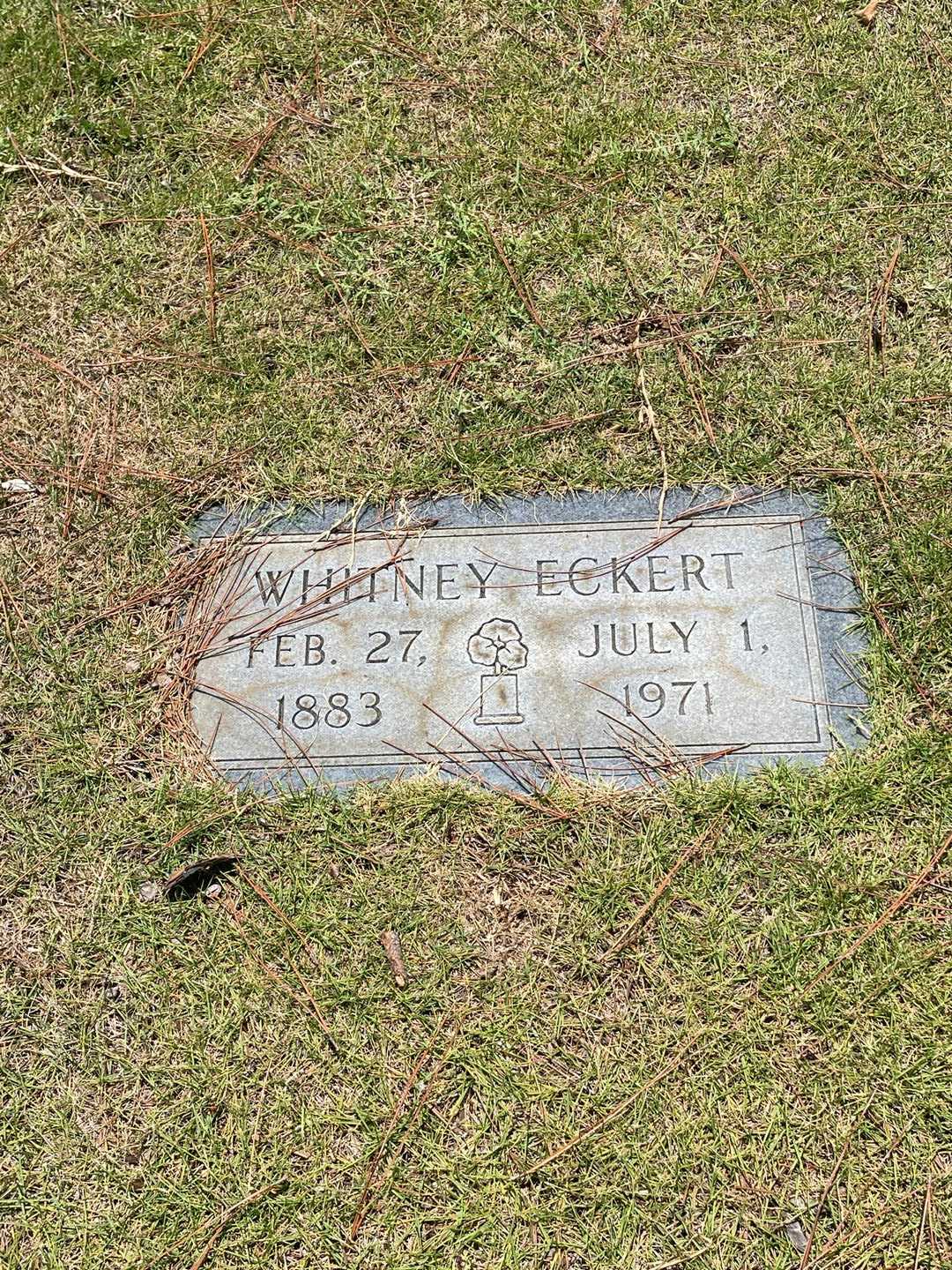 Whitney Eckert's grave. Photo 1