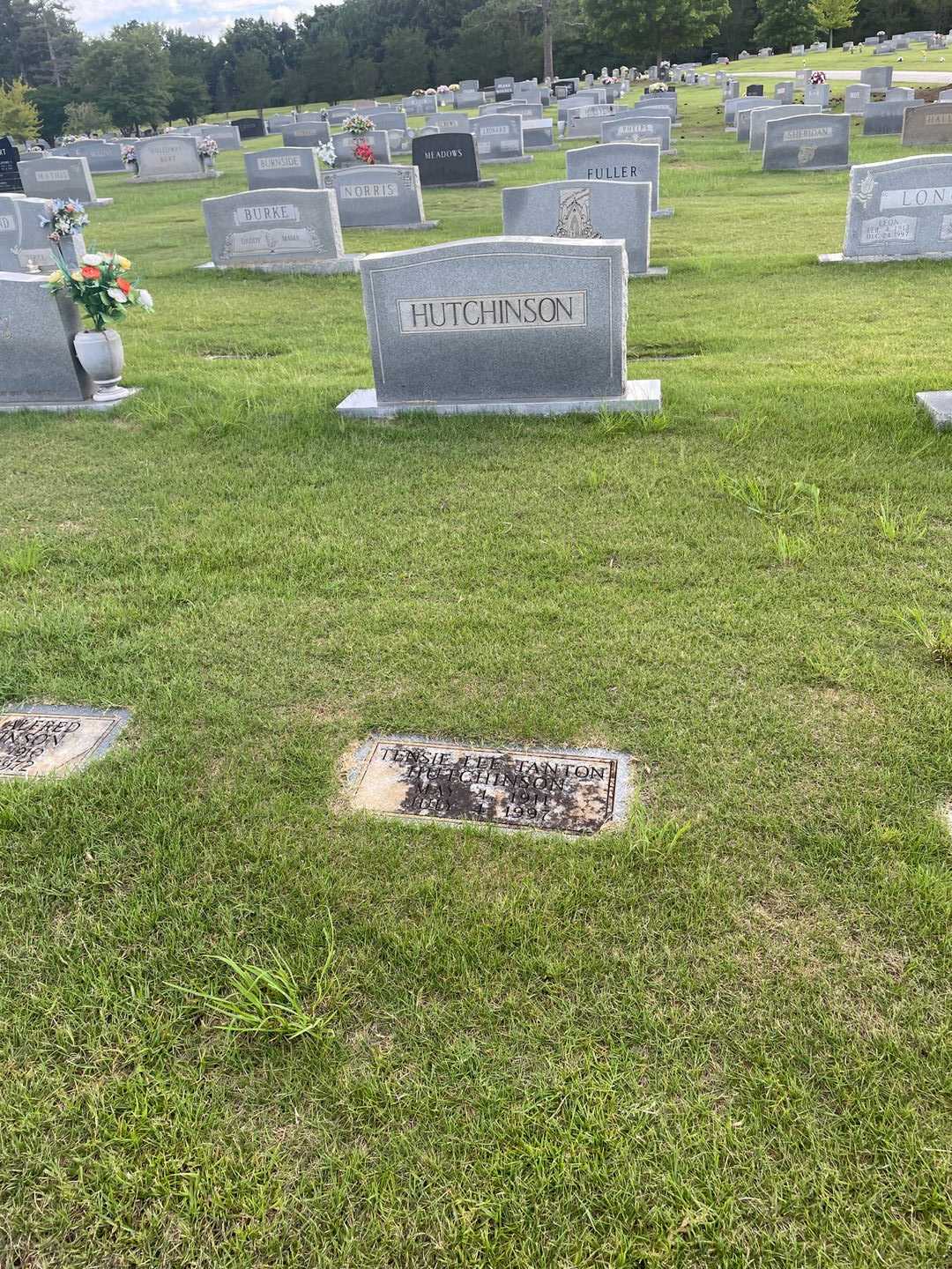 Tensie Lee Tanton Hutchinson's grave. Photo 2