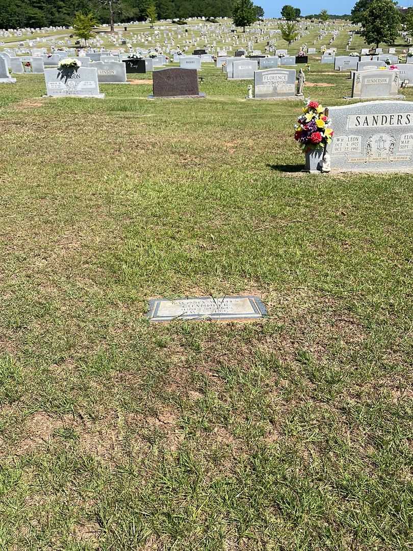 Lavonia Waites Chandler's grave. Photo 2