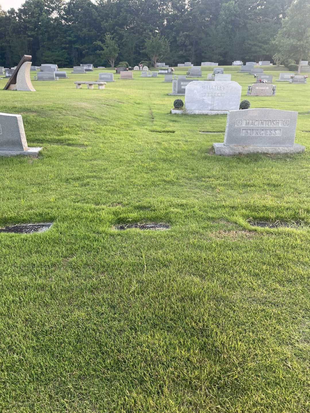 Samuel L. MacIntosh's grave. Photo 2