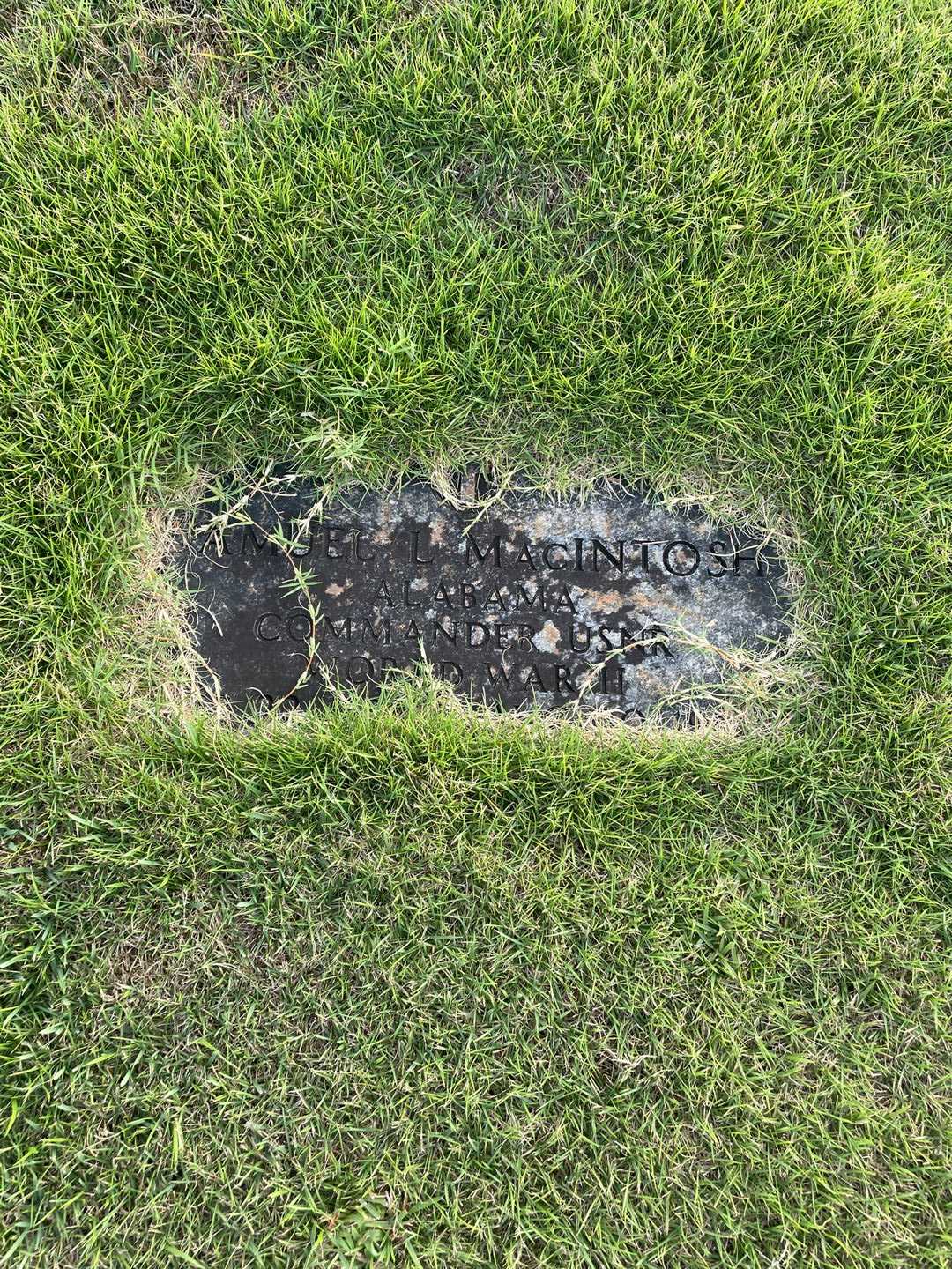 Samuel L. MacIntosh's grave. Photo 3