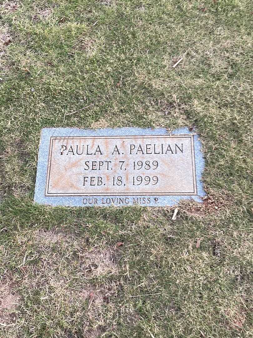 Paula A. Paelian's grave. Photo 3