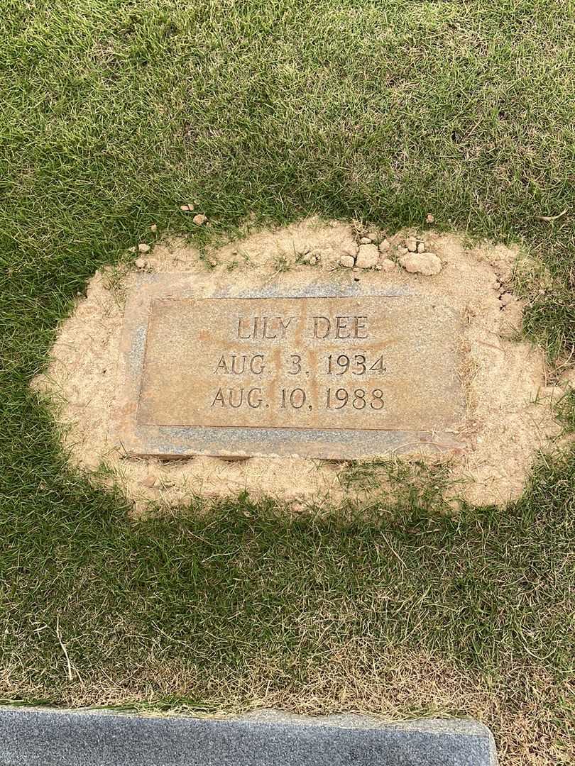 Lily Dee Baggett's grave. Photo 3