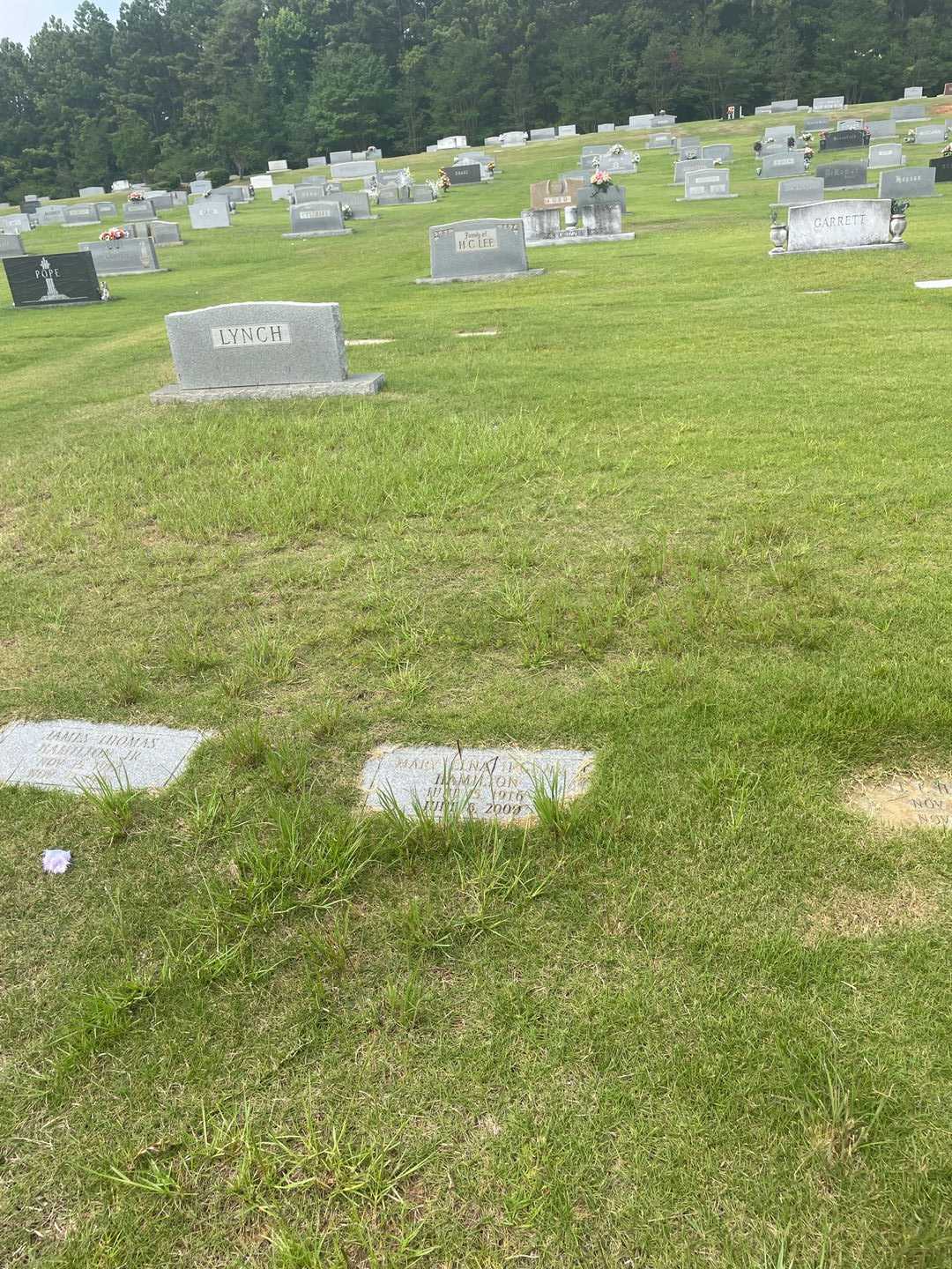 Mary Elna Ingram Hamilton's grave. Photo 2