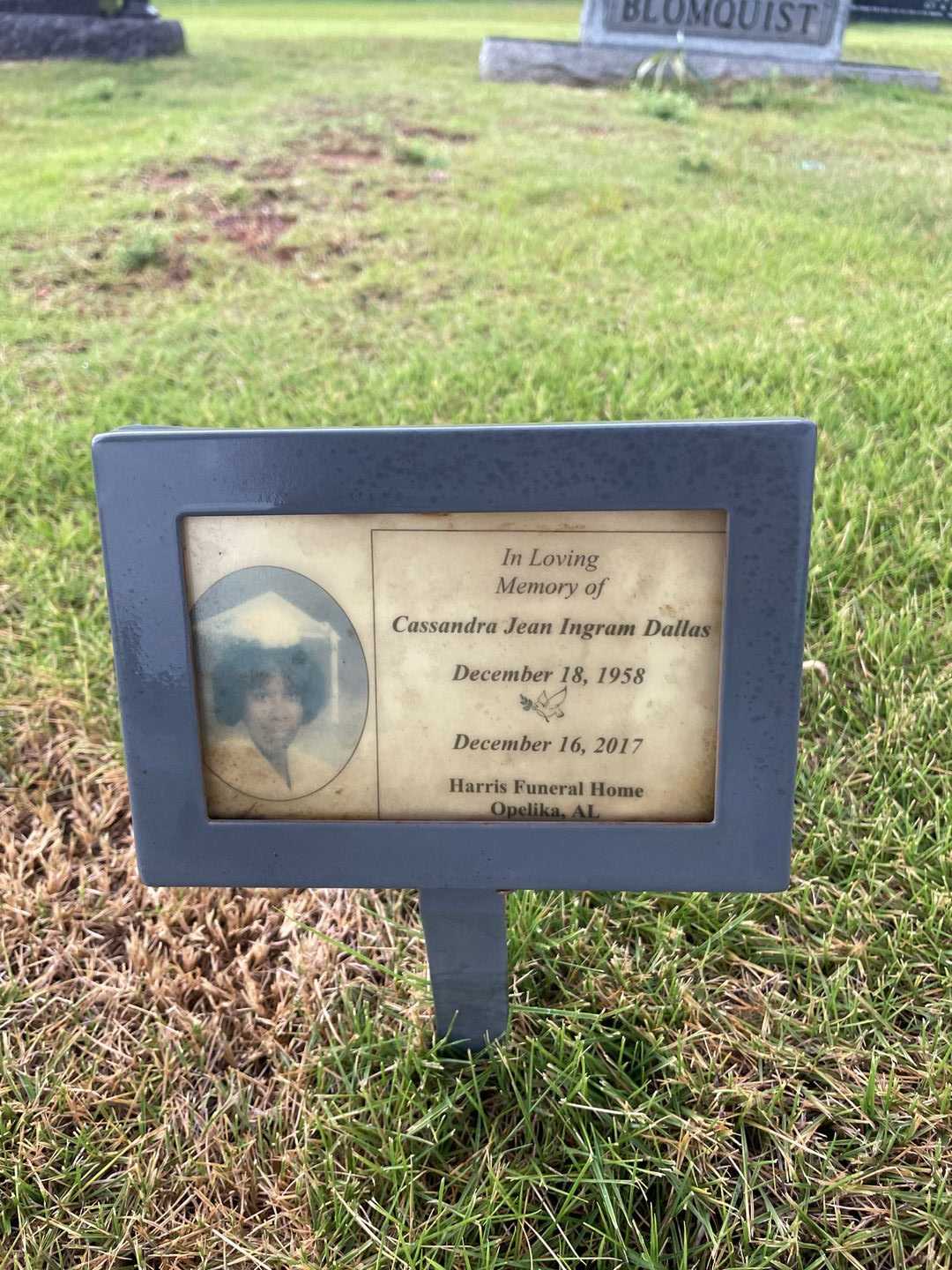 Cassandra Jean Ingram Dallas's grave. Photo 4