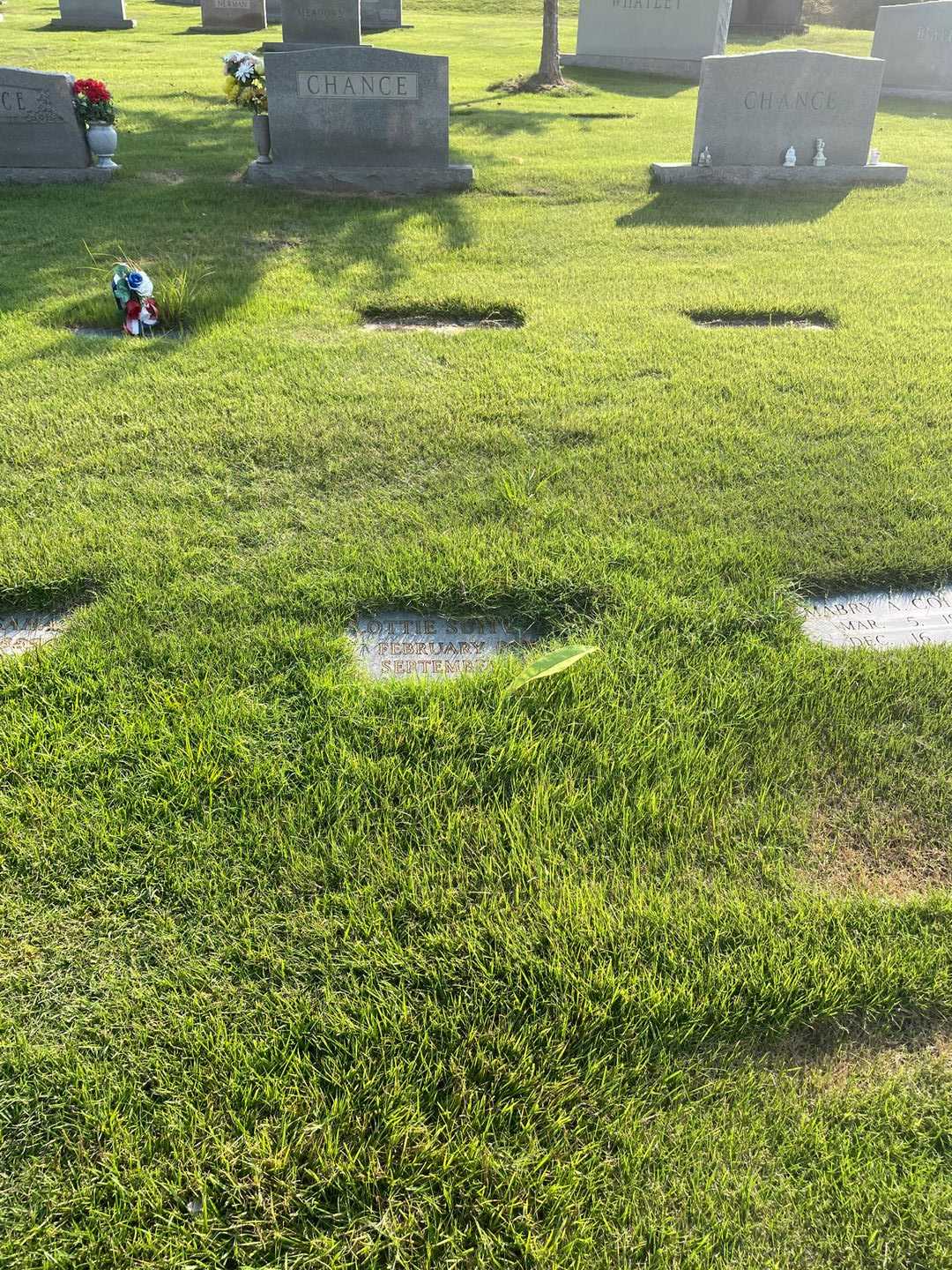 Lottie Suitt Sahag's grave. Photo 2