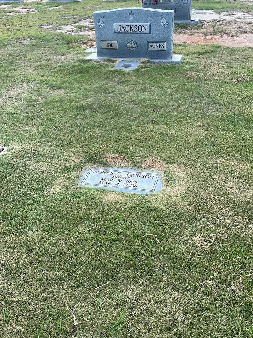 Agnes C. Jackson's grave. Photo 2