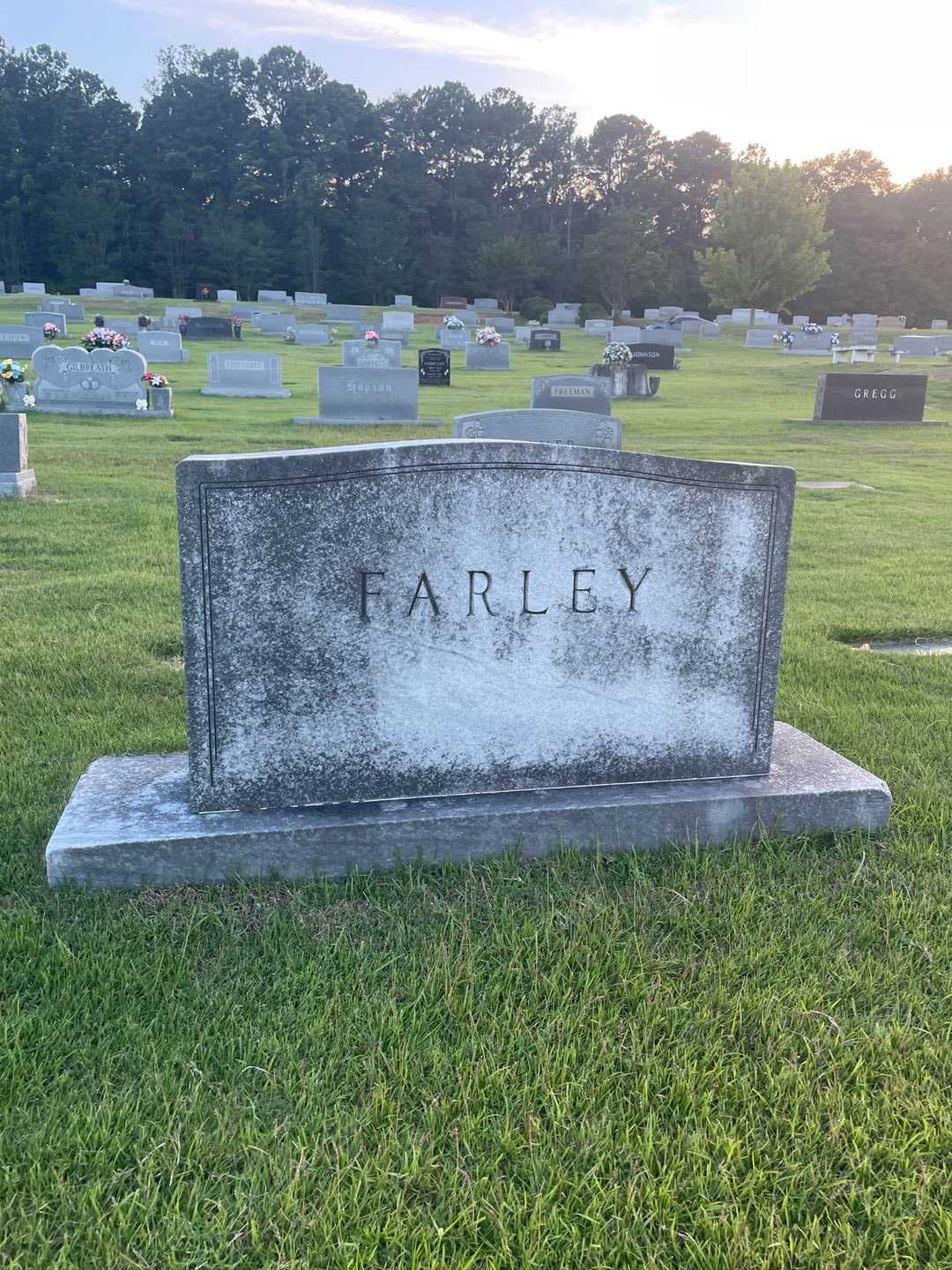 Mary Frances Farley's grave. Photo 1