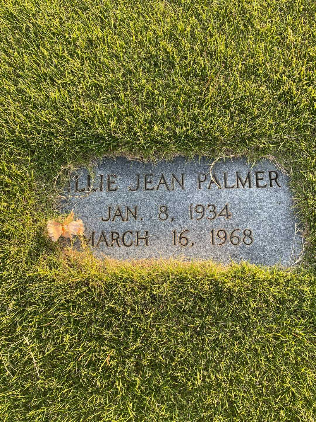 Billie Jean Palmer's grave. Photo 3