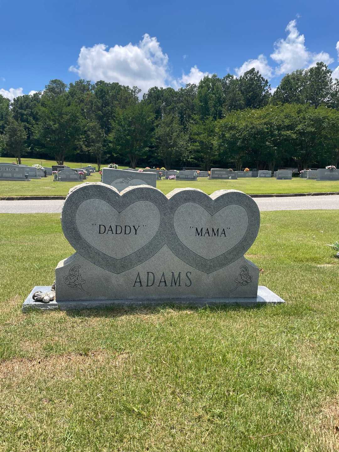 Jerry LaFayette Adams's grave. Photo 1