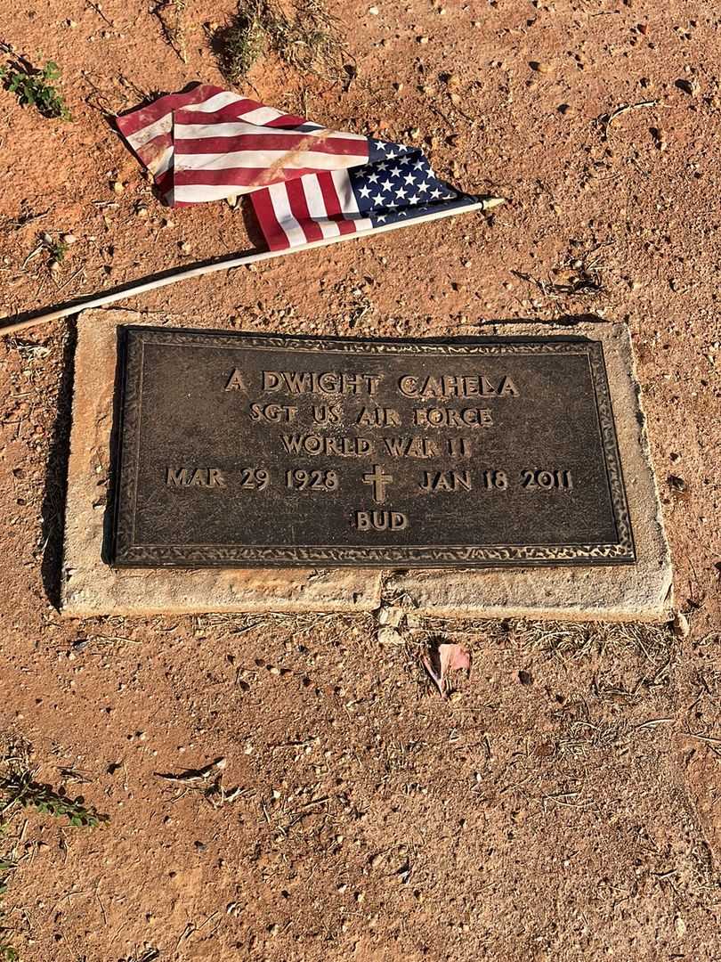 A. Dwight Cahela's grave. Photo 3