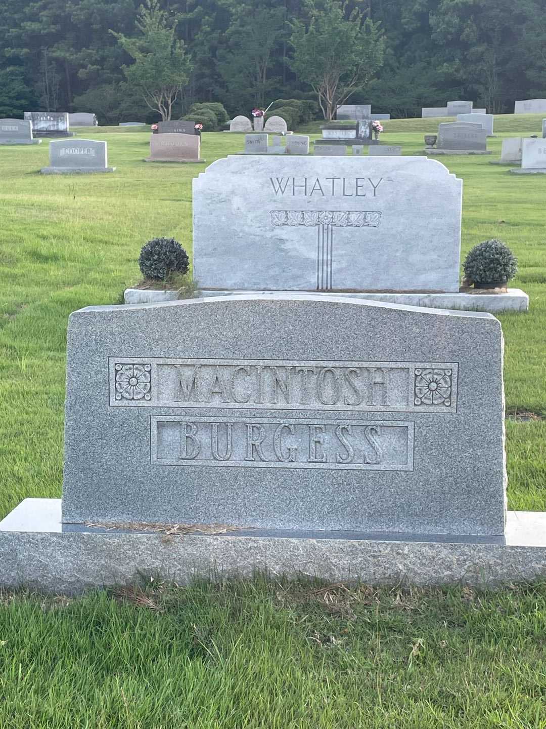 Samuel L. MacIntosh's grave. Photo 1