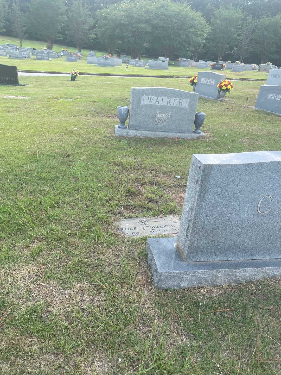 Birdle T. Walker's grave. Photo 2