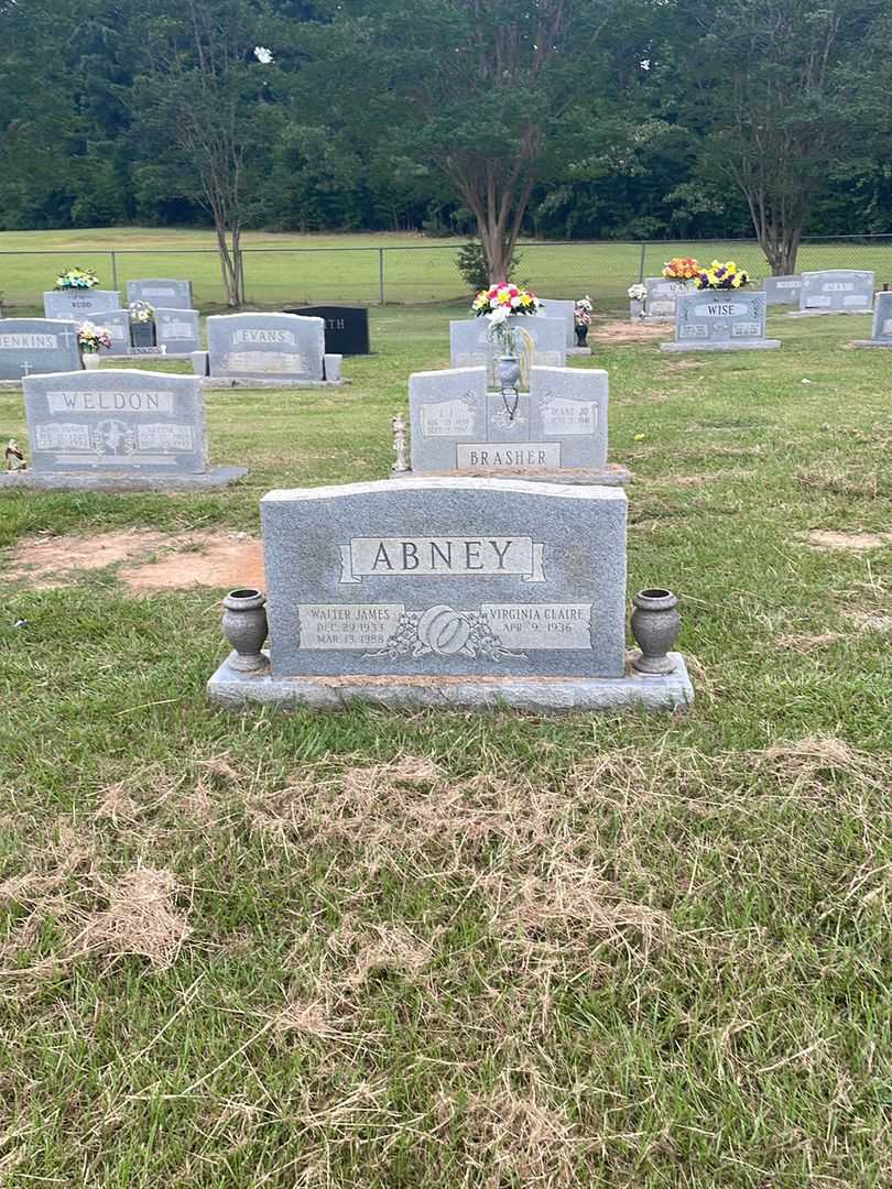 Walter James Abney's grave. Photo 2