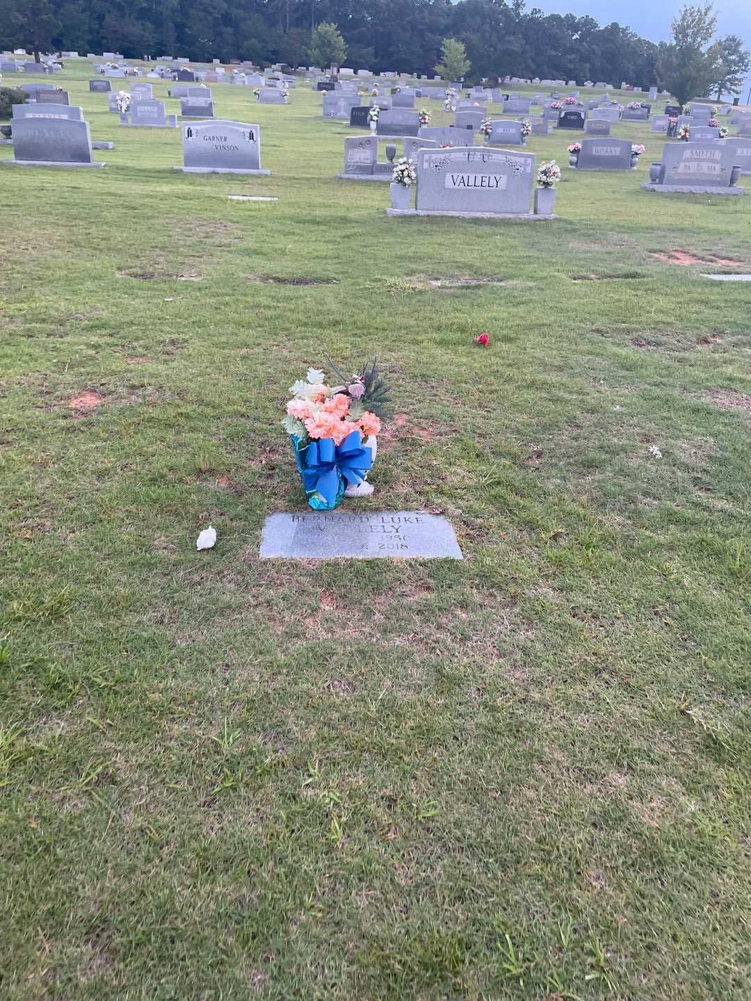 Bernard Luke Vallely's grave. Photo 2